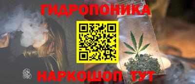 ALPHA PVP Канаш