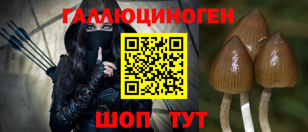 закладки  Галлюциногенные грибы Psilocybine cubensis  Вход с VPN  Галлюциногенные грибы прущие грибы  Каменск-Шахтинский 